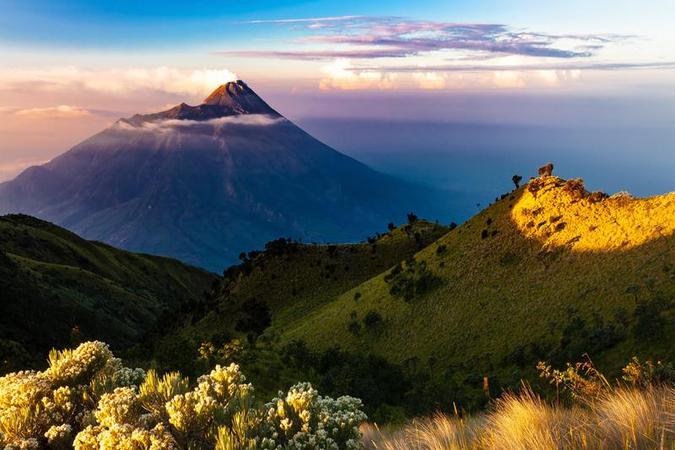 哪里有卖进口打胎药药店多少钱？货