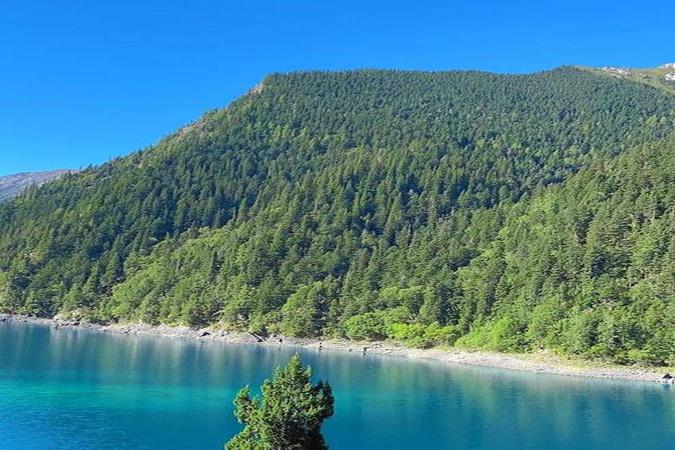 打胎药哪里有卖微信购买，私人网店